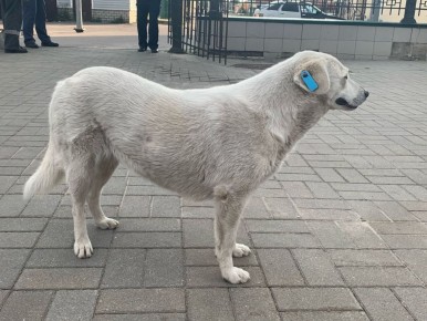 � ������������ ������ �������� ������ ��������� �� ����� � ���������� ��������� �������� � 2026 ����