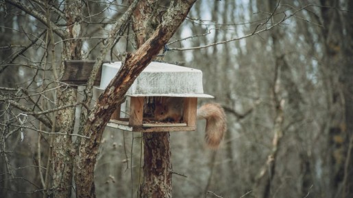 � �������� ����������� ����������� �����