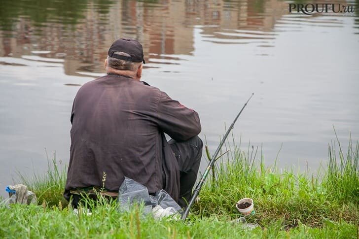 Полезная сельдь: недорогой источник здоровья для людей старше 60