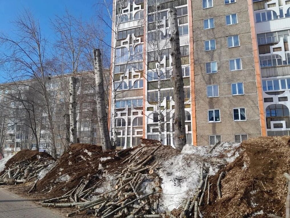 На улице Молодежной в Ижевске провели кронирование деревьев На улице Молодежной в Ижевске провели кронирование деревьев