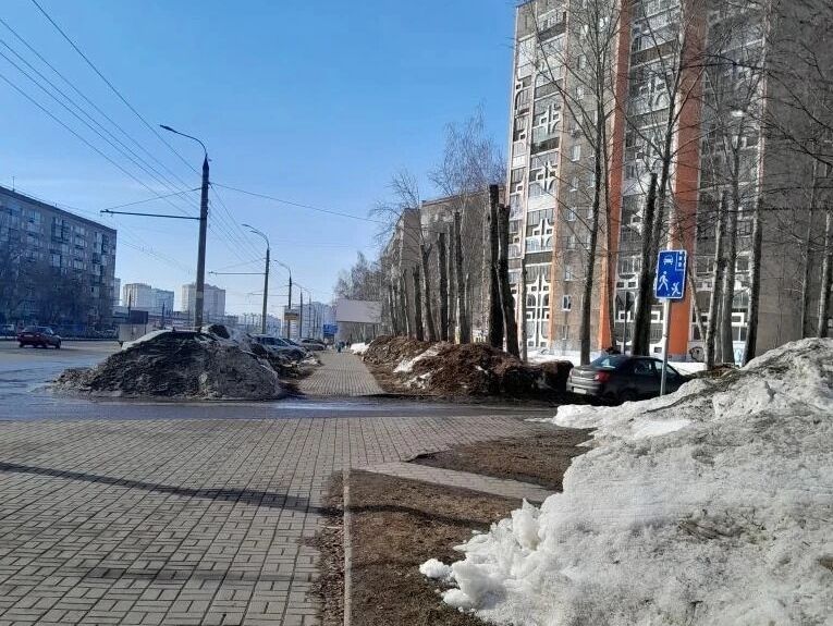 На улице Молодежной в Ижевске провели кронирование деревьев На улице Молодежной в Ижевске провели кронирование деревьев