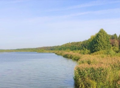 � ��������� ��������� ����� � 30 ����� ������ ����� �����������, �������� ���������� ��������