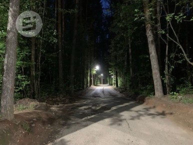 В Ижевске в лесном массиве вдоль улицы 40 лет Победы уберут опасные аварийные и сухостойные деревья, сообщает пресс-служба администрации города