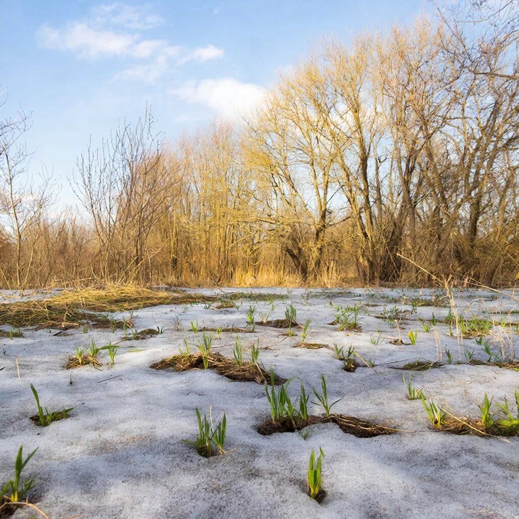 В Удмуртии 23 марта на метеостанции «Ижевск» был побит температурный рекорд, сообщает региональный Гидрометцентр