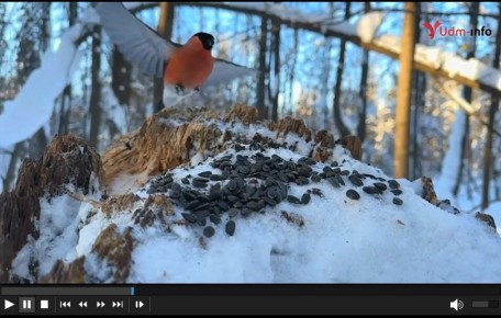 � �� ������, ��� ����� �������� � ������ � ������� �������?