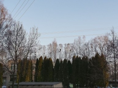 � �����, 25 �����, � �������� ��������� ���������� ����������, ��������������� ��� �������