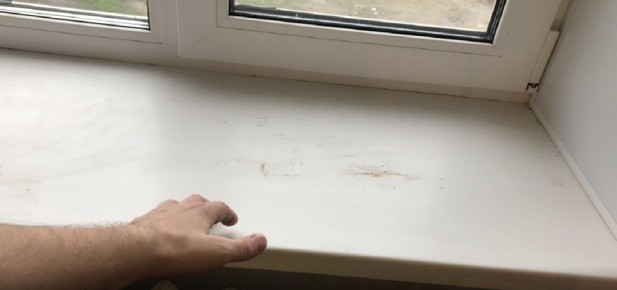 ��� ����� ������� ������� �����������: ������������ ������