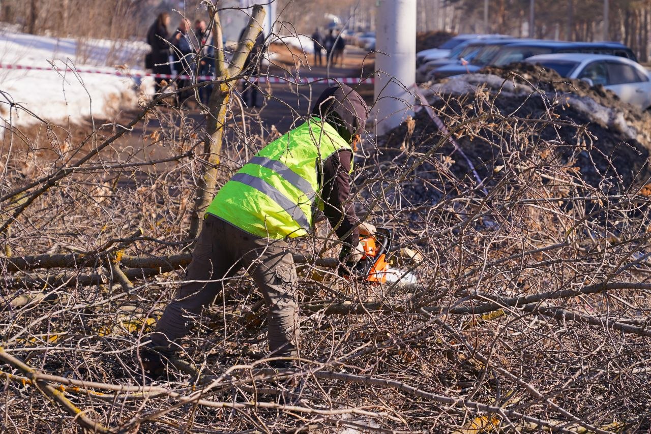 С наступлением раннего весеннего периода в Ижевске началась глубокая обрезка деревьев С наступлением раннего весеннего периода в Ижевске началась глубокая обрезка деревьев