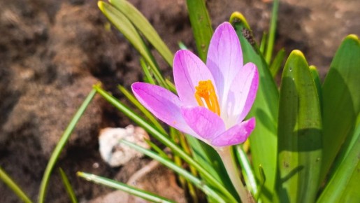 ��� � ����� ������: � �������� � �������� ��������� �� +16��