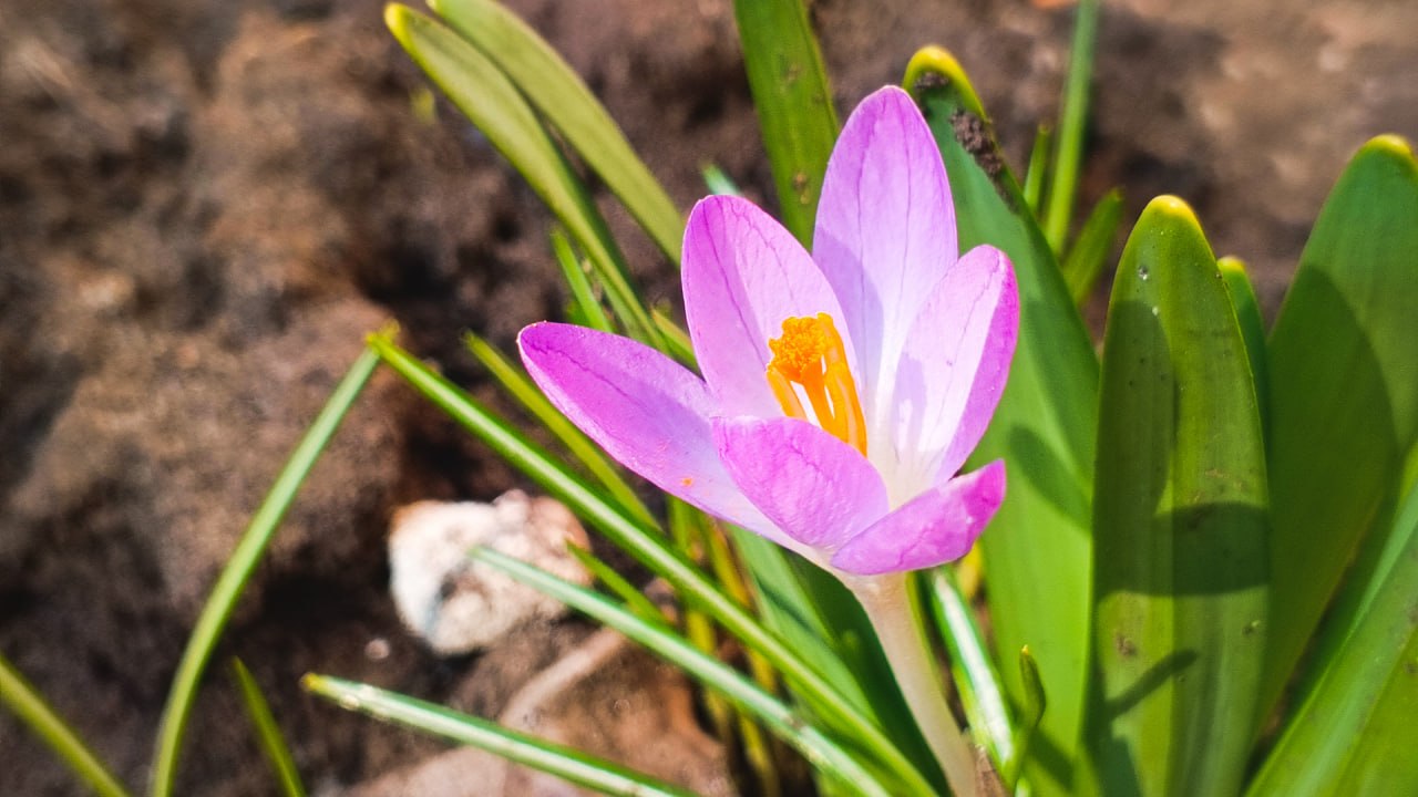 Как в конце апреля: в выходные в Удмуртии потеплеет до +16°С