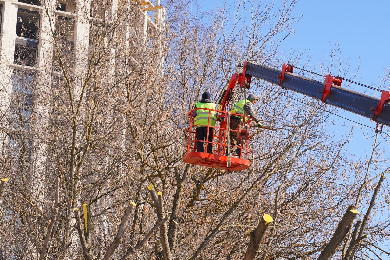 С наступлением раннего весеннего периода в Ижевске началась глубокая обрезка деревьев