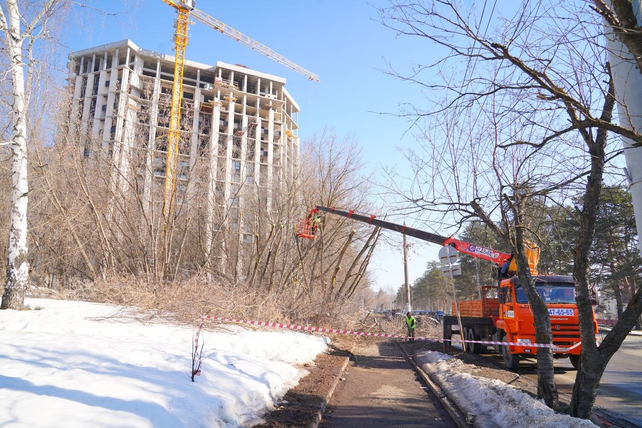 С наступлением раннего весеннего периода в Ижевске началась глубокая обрезка деревьев С наступлением раннего весеннего периода в Ижевске началась глубокая обрезка деревьев
