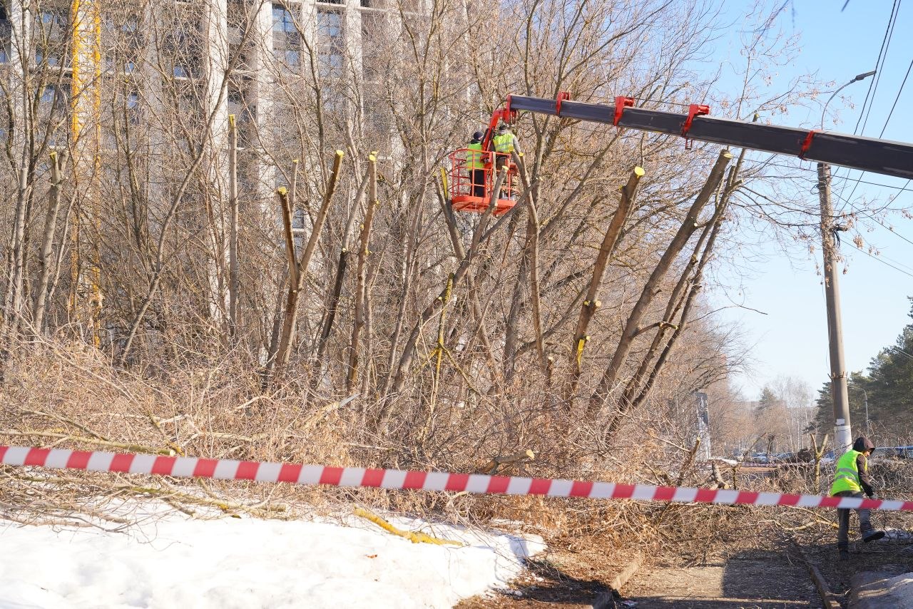 С наступлением раннего весеннего периода в Ижевске началась глубокая обрезка деревьев С наступлением раннего весеннего периода в Ижевске началась глубокая обрезка деревьев