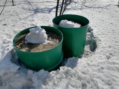 Когда сойдет снег: первые шаги к облагораживанию сада