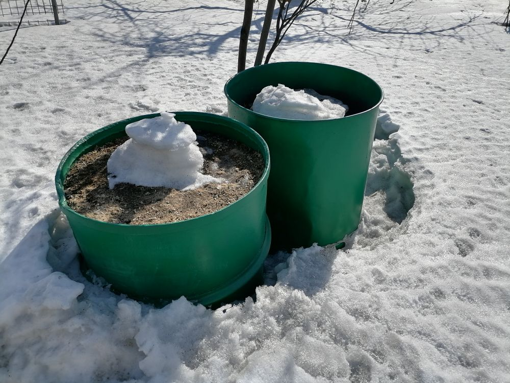 Когда сойдет снег: первые шаги к облагораживанию сада