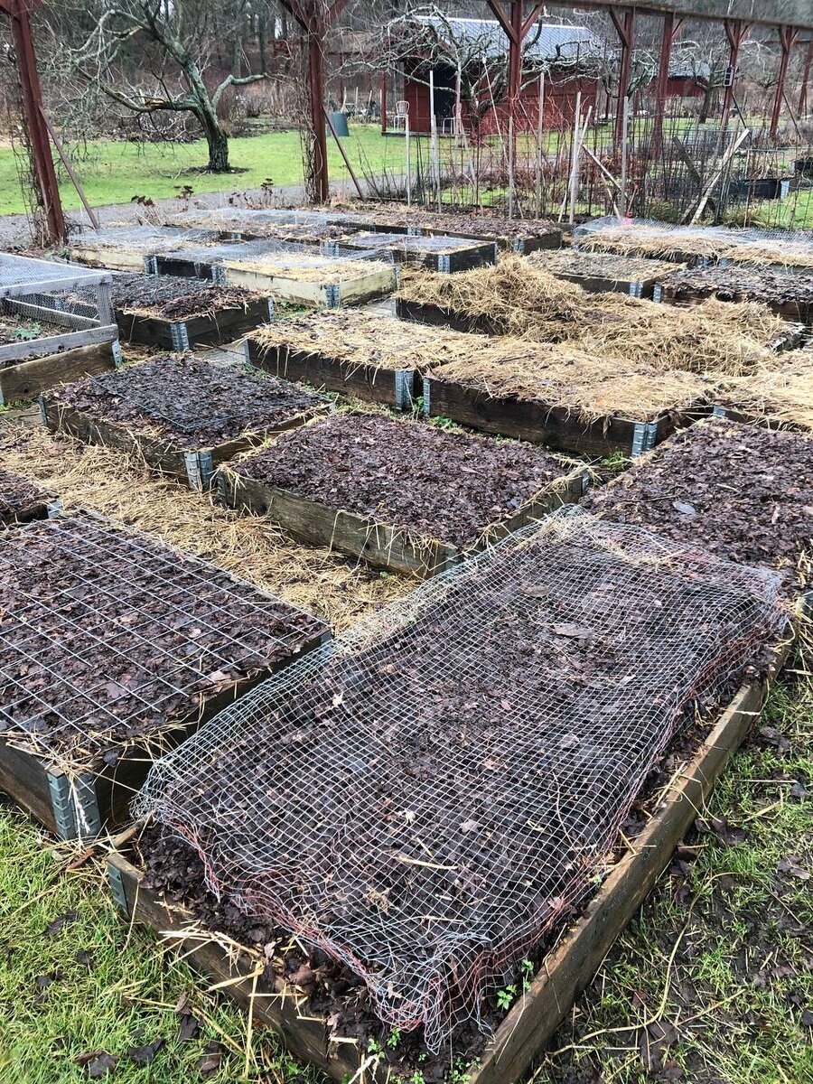 Как правильно подготовить дачный участок к весеннему сезону без лишних усилий