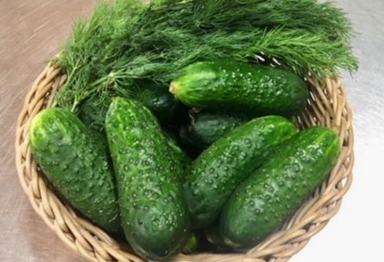 Как правильно встретить первые огурцы и насладиться их вкусом