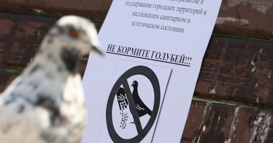 ��������� ������� ��� ������� ������: ��� ����� ����� � 2026 ����