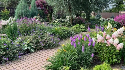 ��� ������� ��������� ��� �� 5 ����� � ������: ������� ������ ���������