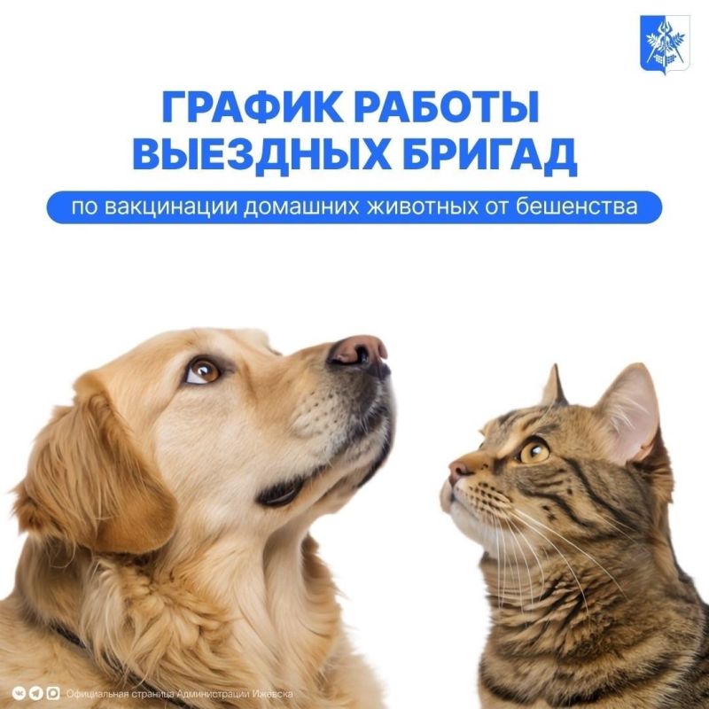 � ������� ���������� �������� ���������� �������� ������ ���������� �������� �������� �� ���������