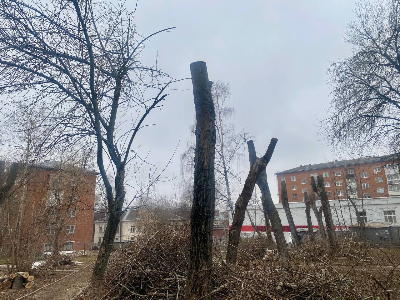 В Ижевске полным ходом идёт весеннее кронирование В Ижевске полным ходом идёт весеннее кронирование