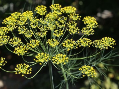 ����� � ����: ��������� ������ ������� ������