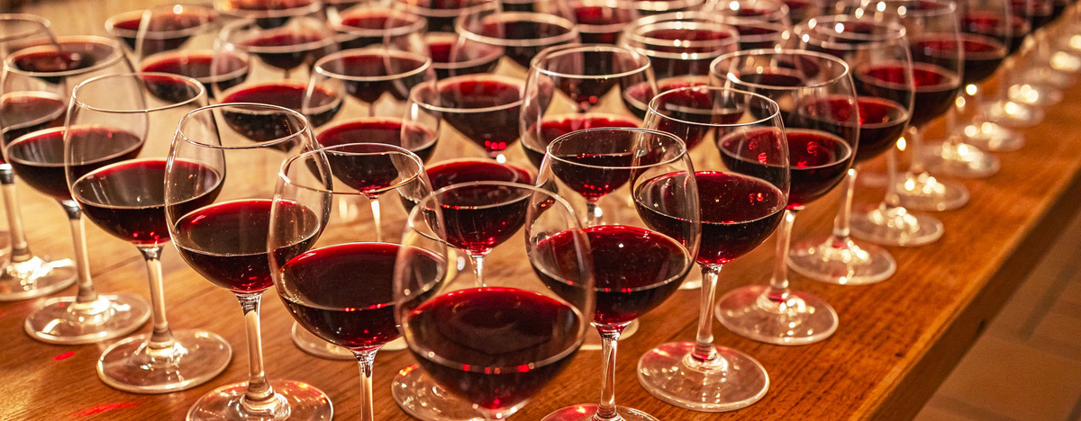 Пинотаж: Вина, которые стоит попробовать в этом сезоне