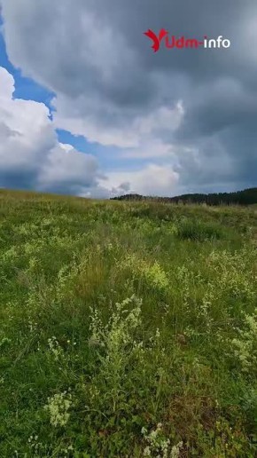 День сурка: в Удмуртии проснулись байбаки