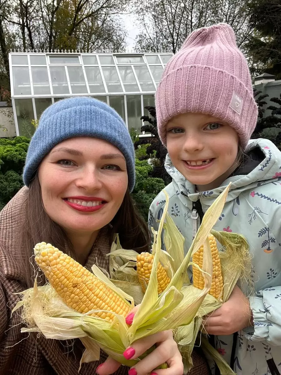 Что нужно знать о садоводстве в условиях сильного ветра