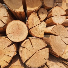 Впервые из Удмуртии в Южную Корею поступила партия хвойных пиломатериалов