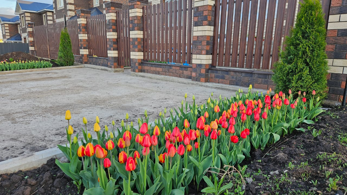Как одна ошибка три года назад обернулась финансовыми трудностями при благоустройстве загородного участка
