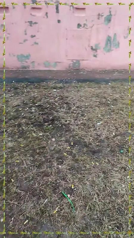������� ������ �������. � � ��� �������� ������� �� ���������� ������