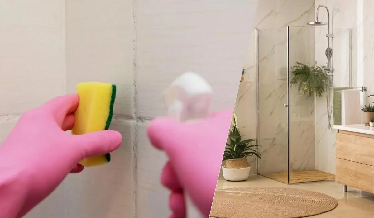 Избавление от черной плесени: простые и эффективные методы