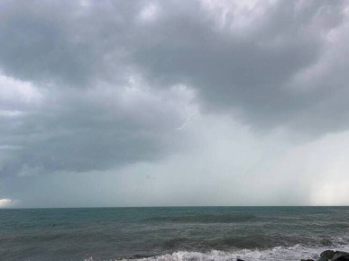 Импорт рыбы из Гренландии в Россию: цифры и тренды