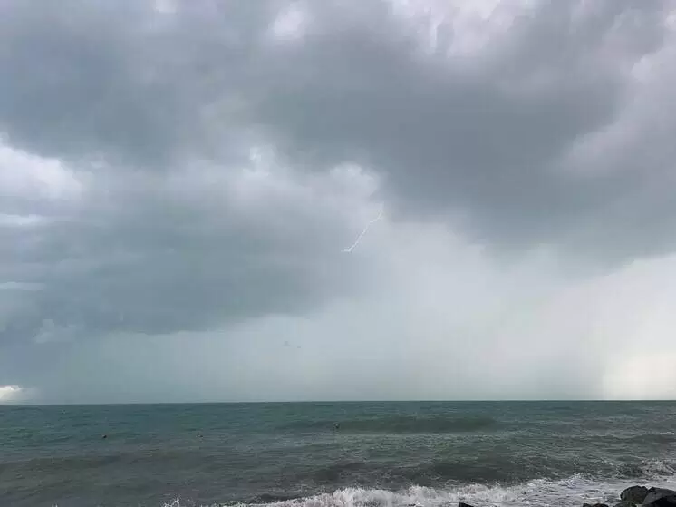 Импорт рыбы из Гренландии в Россию: цифры и тренды