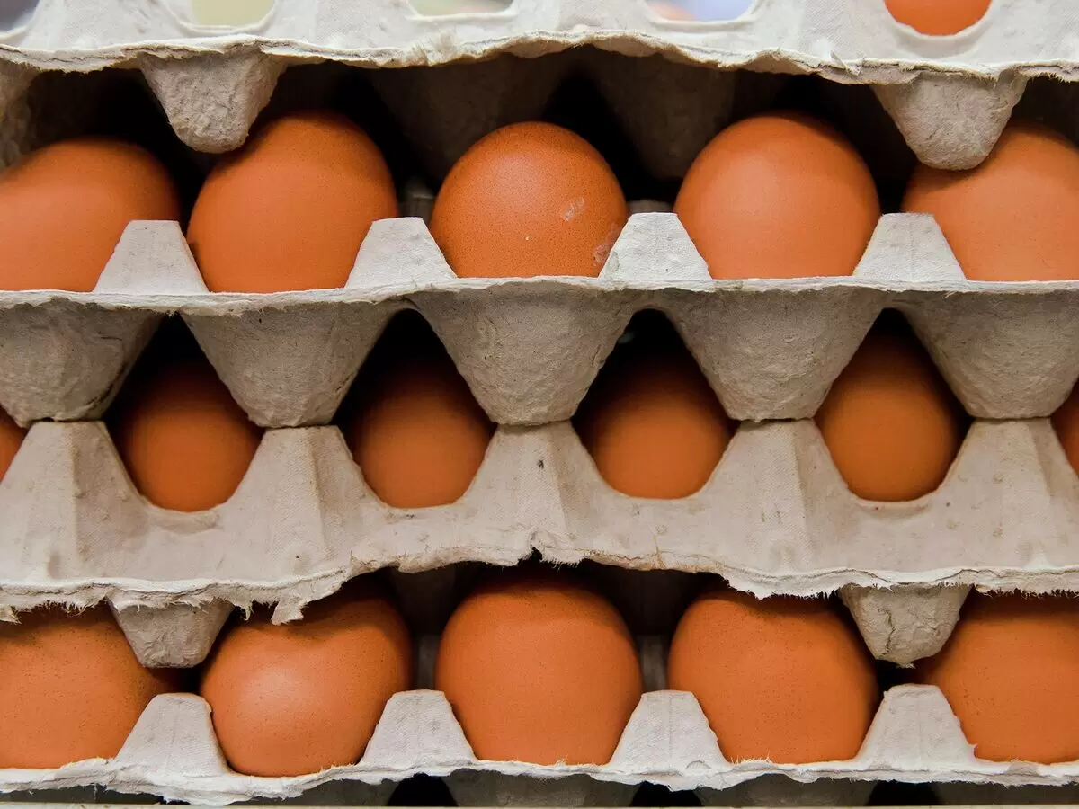 Как приготовить яйца, чтобы сохранить их пользу: советы нутрициолога