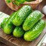 Урожай без усилий: огурец «Зеленый спецназ» — ваш надежный помощник на огороде