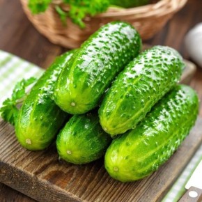 Урожай без усилий: огурец «Зеленый спецназ» — ваш надежный помощник на огороде