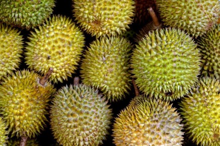 ������: ������ ������� � ���������� �������� � ����������� ������