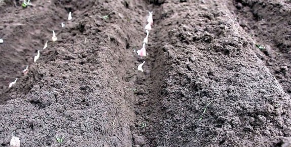 �� � ������� ������� ��� ����: �������� ������ ��� ���������