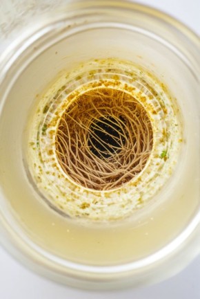 ����������� ������������ ��� ������� ����: ������� �� ���������� � �������������