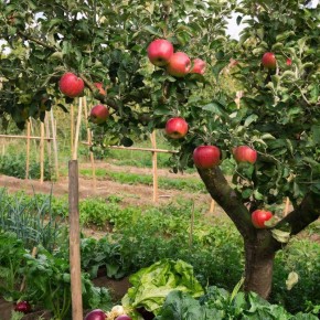 ������ ��������: ��������� ��� ������ � ������