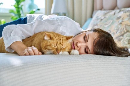 ������ ���� ����� �������� ������ ��� ��� ���: ������������� ������� �������� ������������