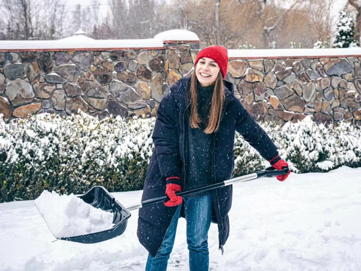 Зимняя подготовка огорода: секреты успешного урожая