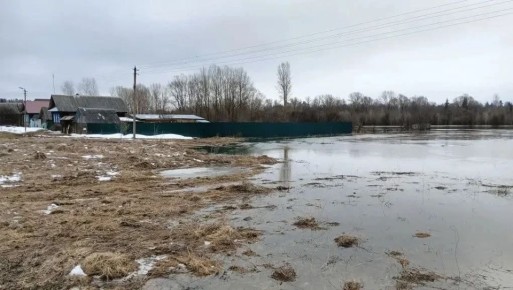 ������� � �������� �������� ������������� �������� 124 ���������� ����������