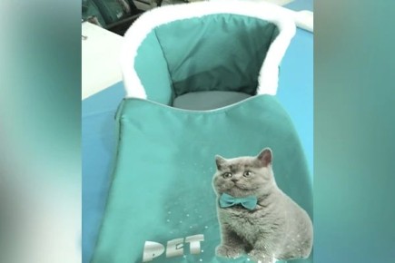 � ���������� �������������� ������� ������ ���� ����� ��� ������� �����