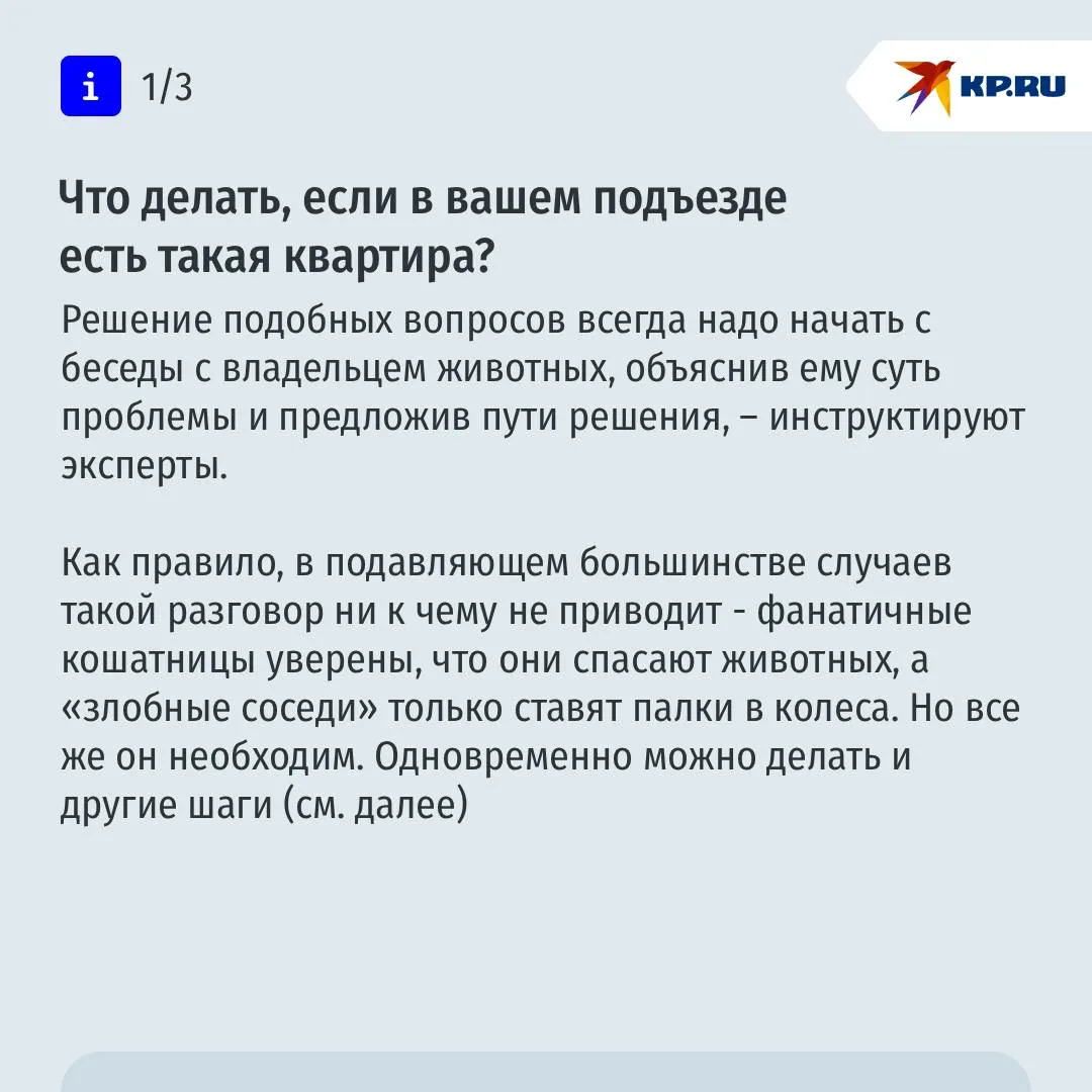 Пенсионерка устроила всему дому "кошачий кошмар" и осталась без жилья: как соседям бороться с "приютами" в квартирах Пенсионерка устроила всему дому "кошачий кошмар" и осталась без жилья: как соседям бороться с "приютами" в квартирах