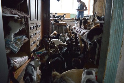 ����������� �������� ����� ���� "������� ������" � �������� ��� �����: ��� ������� �������� � "��������" � ���������