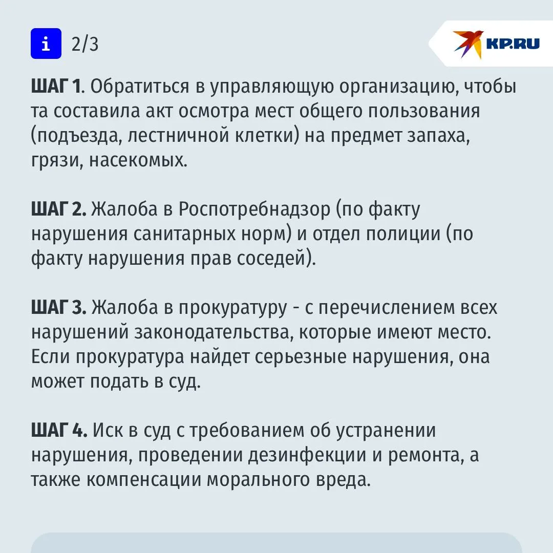 Пенсионерка устроила всему дому "кошачий кошмар" и осталась без жилья: как соседям бороться с "приютами" в квартирах Пенсионерка устроила всему дому "кошачий кошмар" и осталась без жилья: как соседям бороться с "приютами" в квартирах