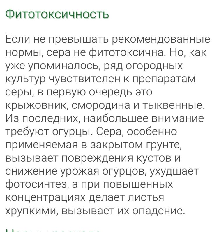 ���������������: ��� ����� ����� ������� ��������